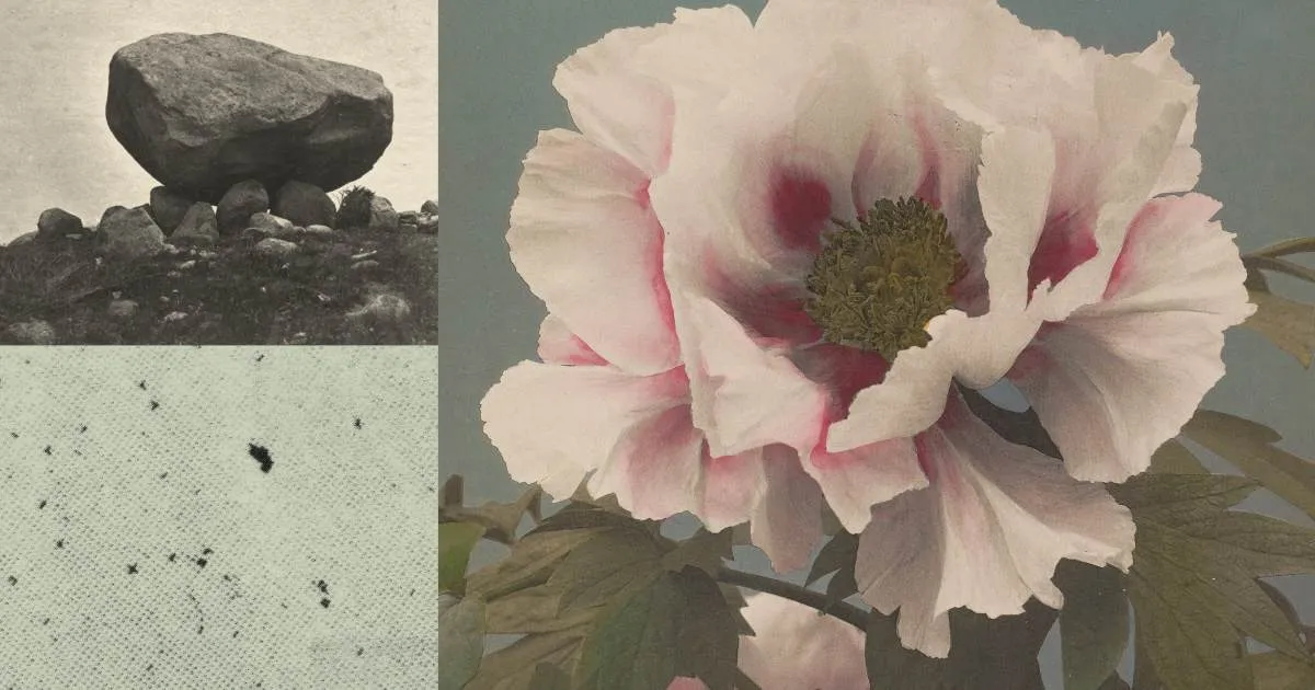 Az Anthropic a nyilvánosság legnehezebb AI-kérdéseire vár