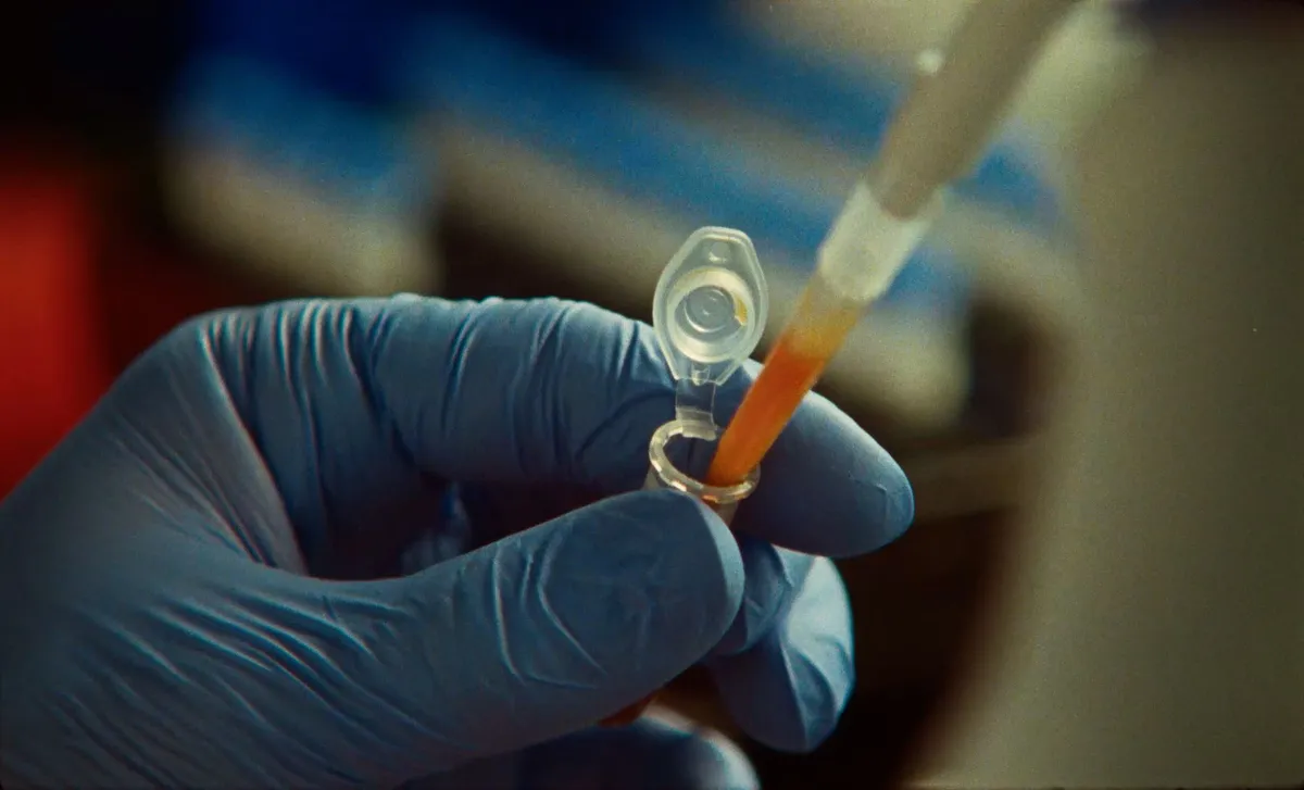 Claude új, CRISPR-re emlékeztető enzimrendszert talált DNS-adatokban