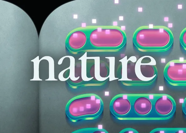 A Nature-ben jelent meg az Ai2 byte-alapú nyelvi modelljeinek kutatása