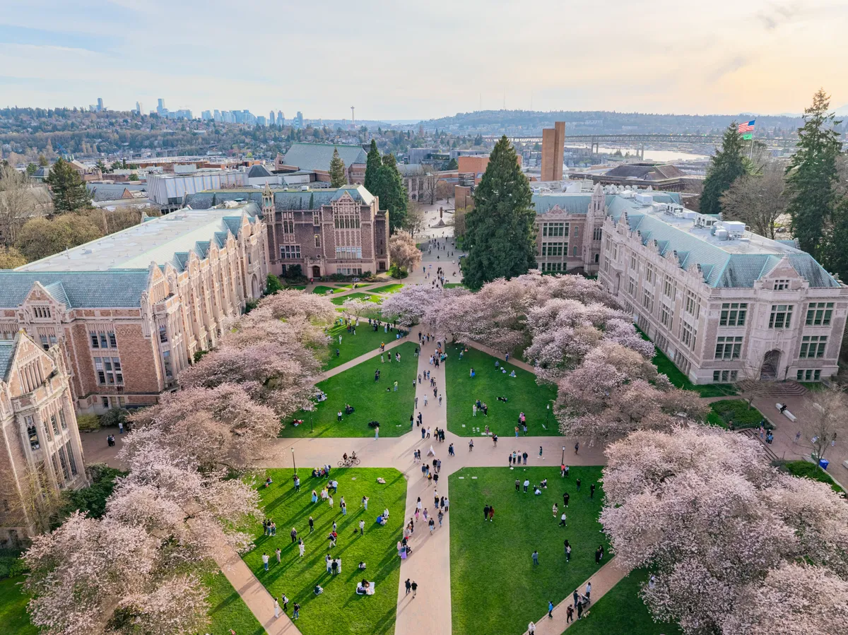 Négy AI-for-science projektben vesz részt a Washingtoni Egyetem