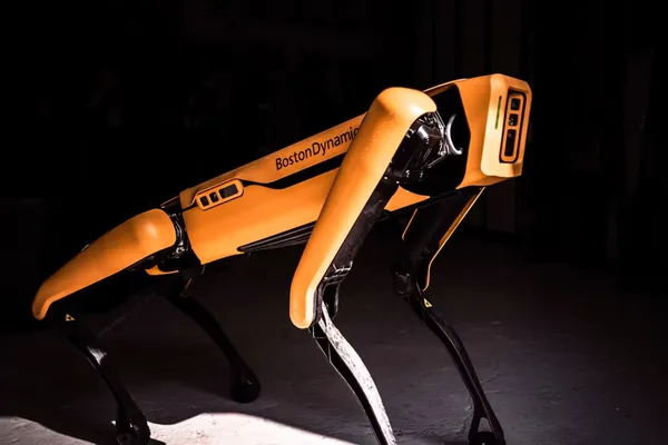Robotkutyák, rákfelismerés és könyvtári AI-oktatás egy heti listán